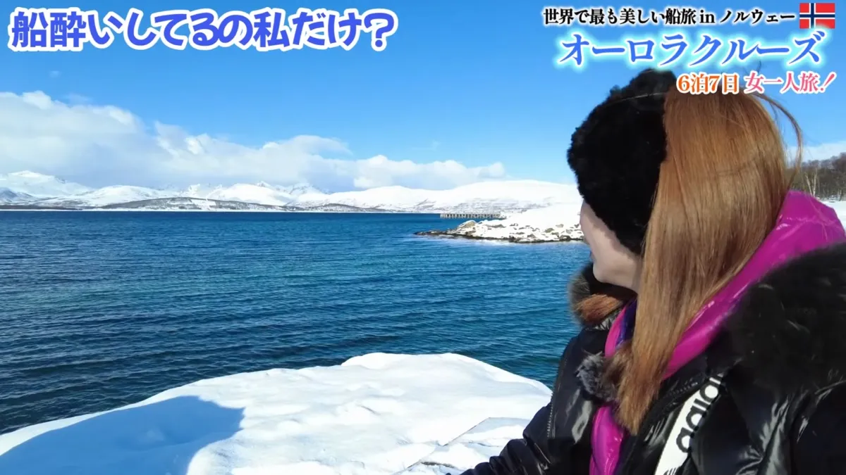 穏やかなフィヨルドの海と雪山