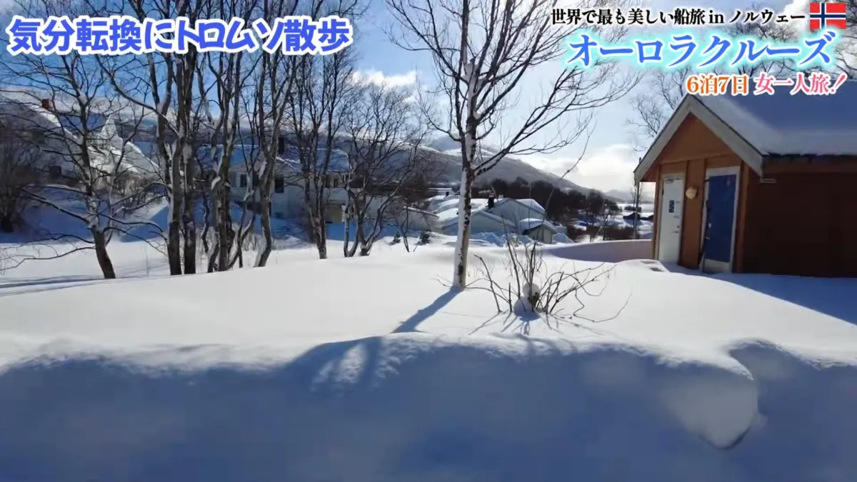 引き返したトロムソで散歩した雪の街